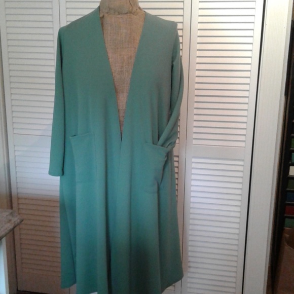 LuLaRoe Sweaters - Lularoe Medium green Sarah